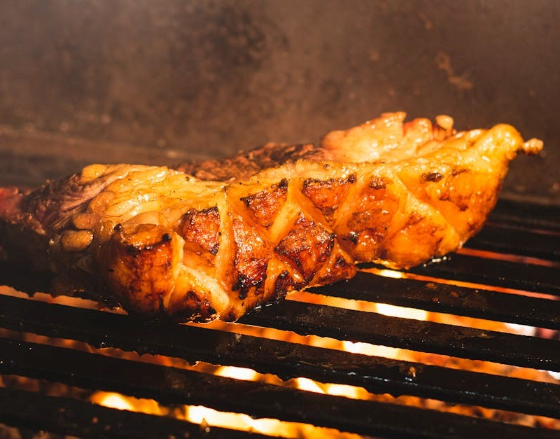 ninja foodi grill cooking chart pdf