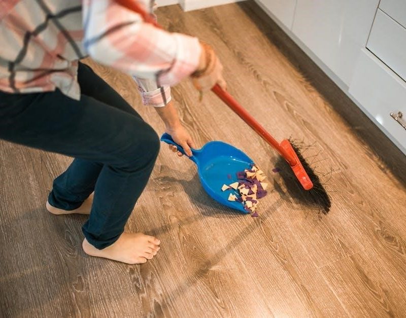 dirt devil spot scrubber manual