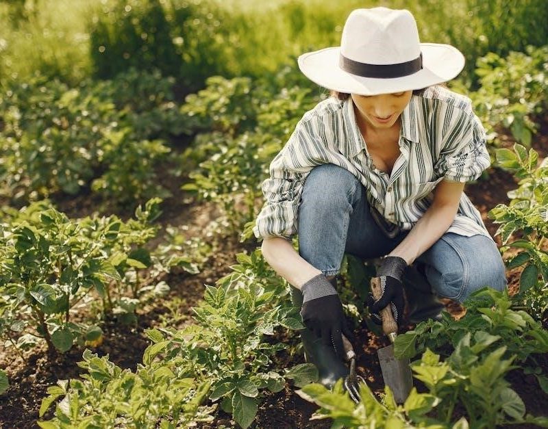 zone 9b vegetable planting schedule pdf