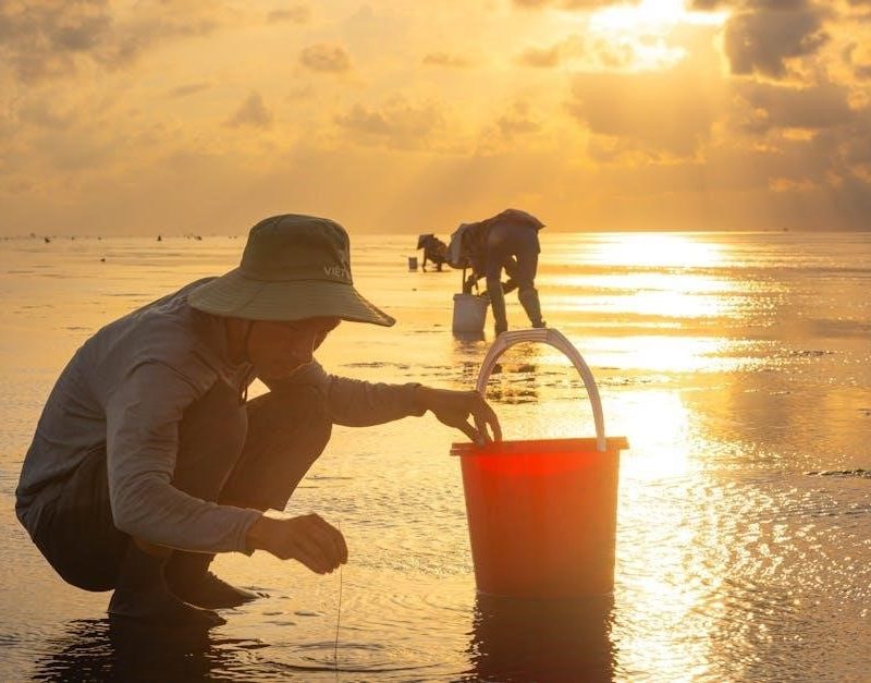 titan 440 impact manual