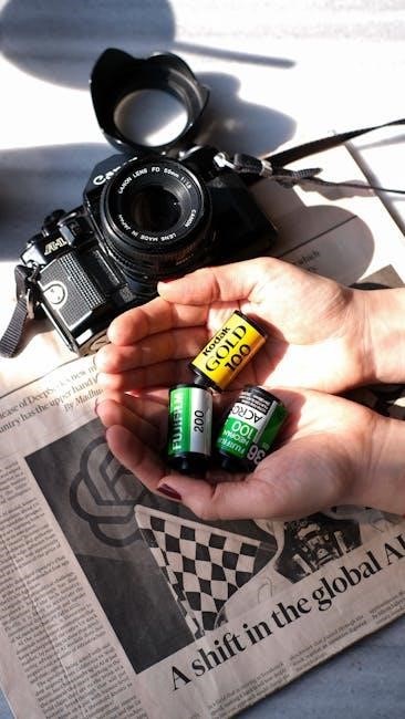 viessmann vitodens 100-w manual