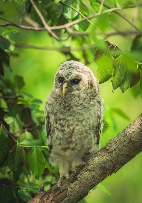 the owl who was afraid of the dark pdf